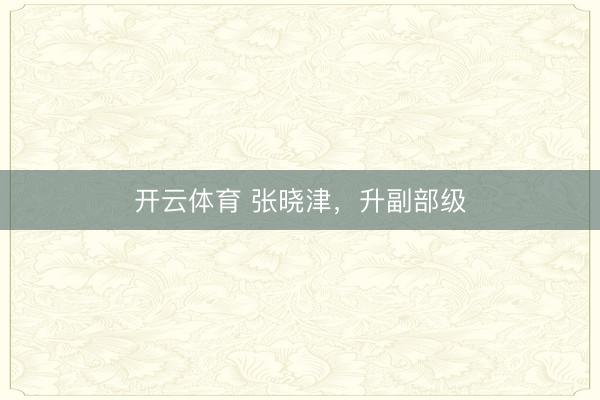开云体育 张晓津,升副部级
