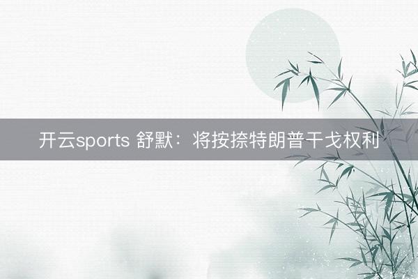 开云sports 舒默：将按捺特朗普干戈权利