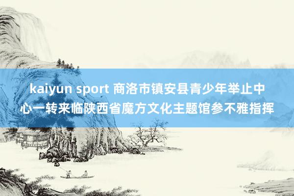 kaiyun sport 商洛市镇安县青少年举止中心一转来临陕西省魔方文化主题馆参不雅指挥