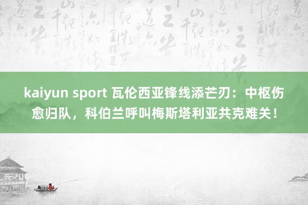 kaiyun sport 瓦伦西亚锋线添芒刃：中枢伤愈归队，科伯兰呼叫梅斯塔利亚共克难关！
