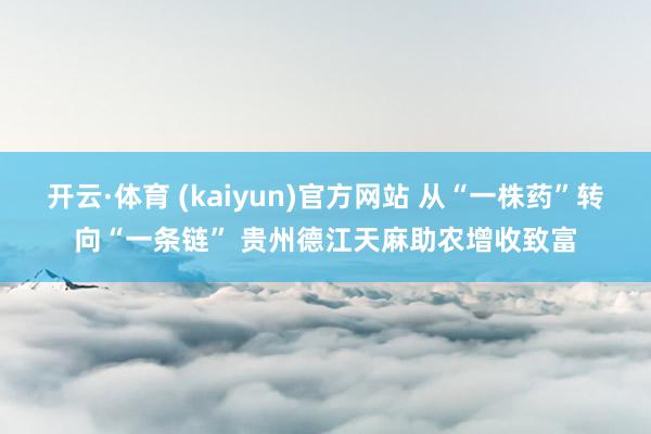 开云·体育 (kaiyun)官方网站 从“一株药”转向“一条链” 贵州德江天麻助农增收致富