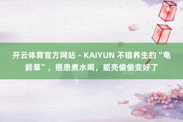 开云体育官方网站 - KAIYUN 不错养生的“龟龄草”，癌患煮水喝，躯壳偷偷变好了