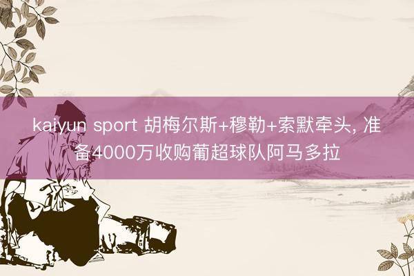 kaiyun sport 胡梅尔斯+穆勒+索默牵头， 准备4000万收购葡超球队阿马多拉