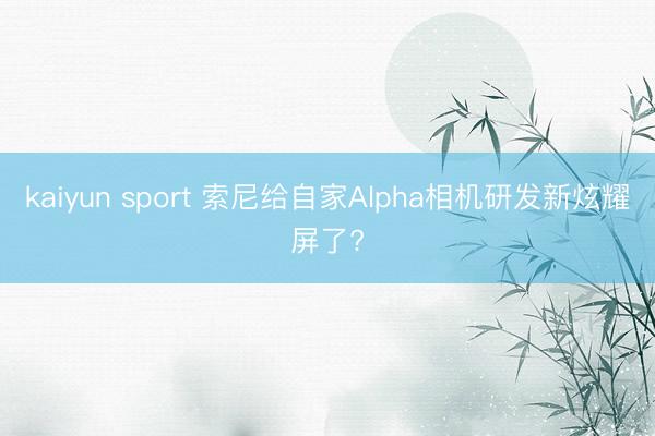 kaiyun sport 索尼给自家Alpha相机研发新炫耀屏了?