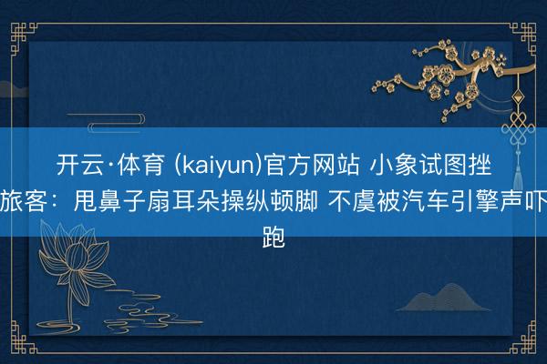 开云·体育 (kaiyun)官方网站 小象试图挫折旅客：甩鼻子扇耳朵操纵顿脚 不虞被汽车引擎声吓跑