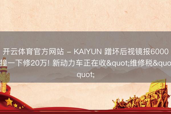 开云体育官方网站 - KAIYUN 蹭坏后视镜报6000， 撞一下修20万! 新动力车正在收"维修税"
