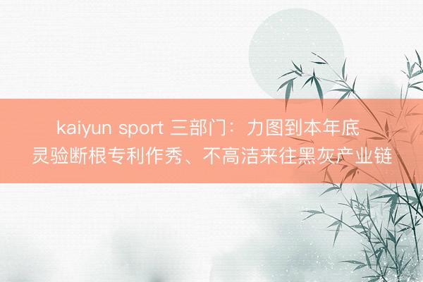 kaiyun sport 三部门：力图到本年底 灵验断根专利作秀、不高洁来往黑灰产业链