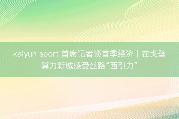 kaiyun sport 首席记者谈首季经济｜在戈壁算力新城感受丝路“西引力”