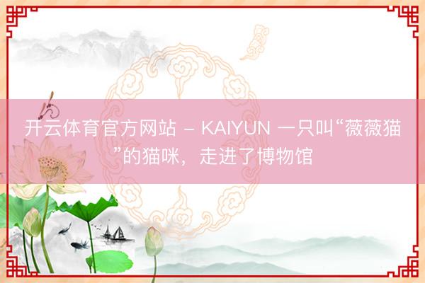 开云体育官方网站 - KAIYUN 一只叫“薇薇猫”的猫咪，走进了博物馆